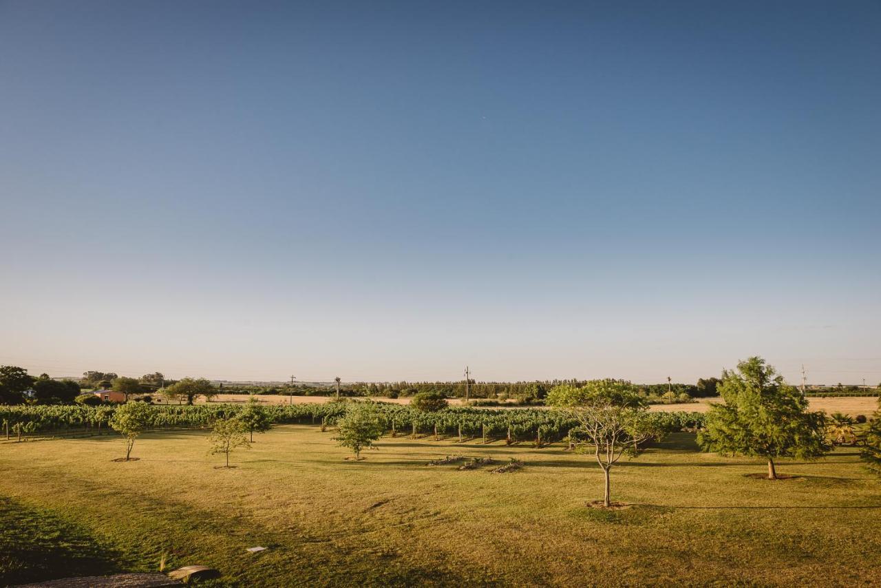 El Legado Wine Lodge Кармело Екстер'єр фото