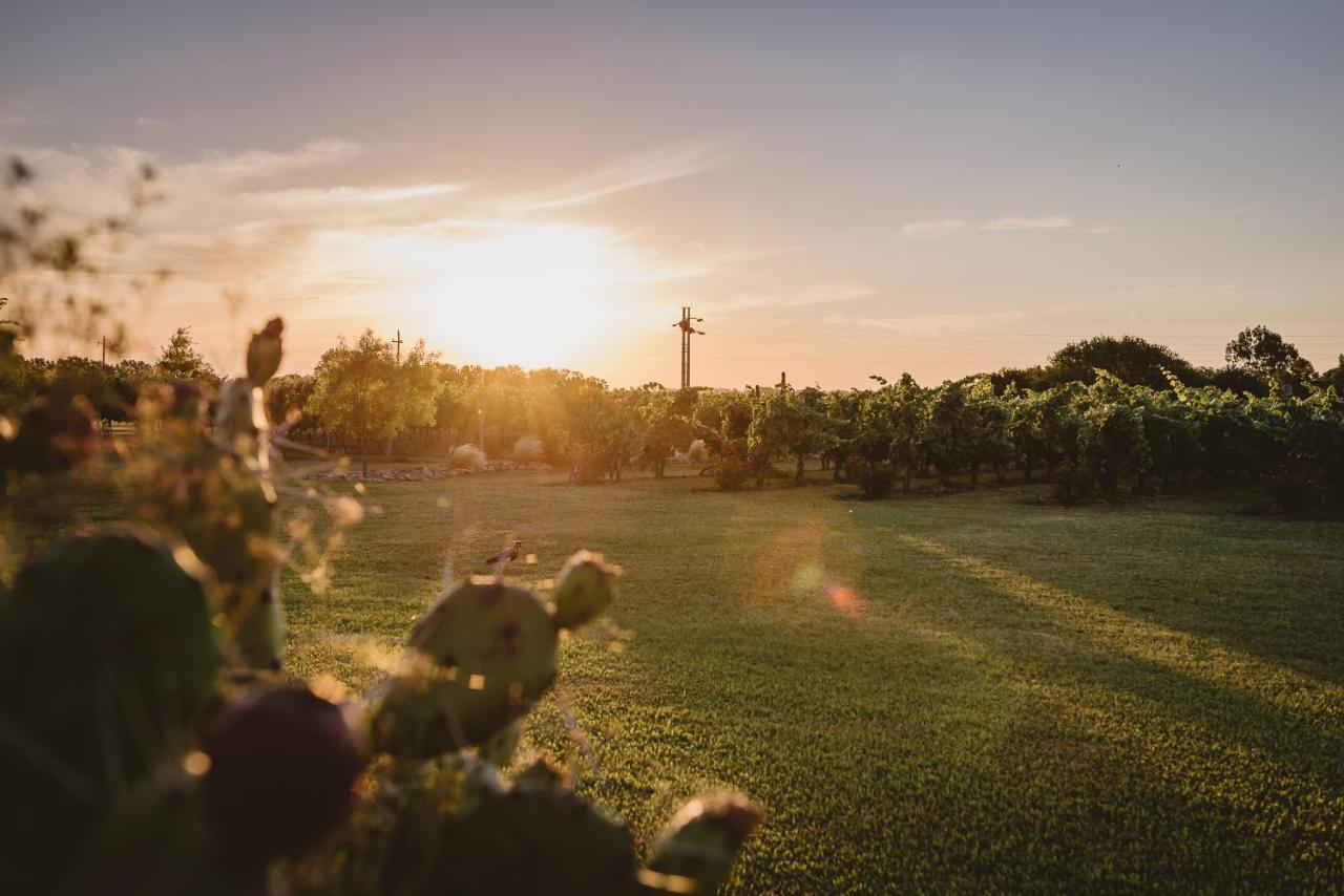 El Legado Wine Lodge Кармело Екстер'єр фото