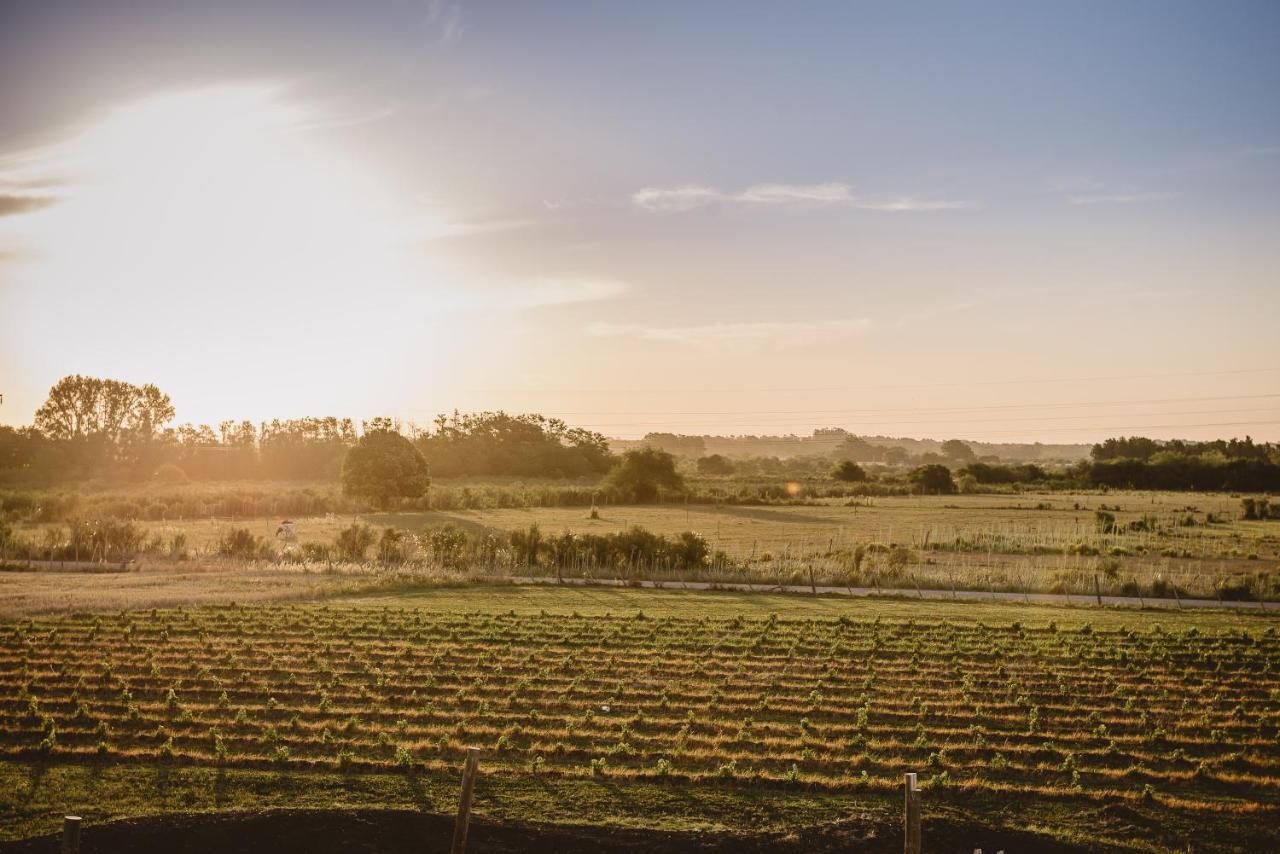 El Legado Wine Lodge Кармело Екстер'єр фото